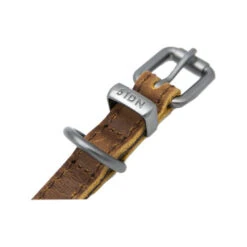 51 Degrees North Halsband Milano -Hundebedarf Geschäft 51 degrees north milano collar 209996 0500 none