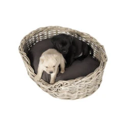 51 Degrees North Rattan Basket 10 51 Degrees North Rattan Basket -Hundebedarf Geschäft 51 degrees north rattan basket 209954 0500 none