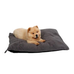 51 Degrees North Sheep Hundekissen -Hundebedarf Geschäft 51 degrees north sheep hondenkussen 141479 0500 none