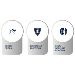 Affinity Advance Veterinary Diets Renal Hund -Hundebedarf Geschäft affinity advance veterinary diets renal hond 177346 0500 none