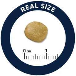 Affinity Advance Veterinary Diets Renal Hund -Hundebedarf Geschäft affinity advance veterinary diets renal hond 177349 0500 none