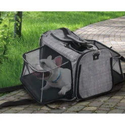 AFP Travel Dog - Hundetransportbox Mit Rollen -Hundebedarf Geschäft afp travel dog rolling pet carrier 213521 0500 none