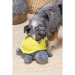 Beeztees Hide And Seek Schildo -Hundebedarf Geschäft beeztees hide and seek schildo 221788 0500 none