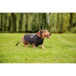 Beeztees Hundepullover Celia -Hundebedarf Geschäft beeztees hondentrui celia 219140 0500 none