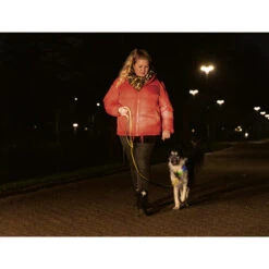 Beeztees Safety Gear Parinca Premium Hundeleine -Hundebedarf Geschäft beeztees safety gear parinca premium hondenriem 215042 0500 none