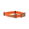 Carhartt Tradesman Hundehalsband -Hundebedarf Geschäft carhartt tradesman dog collar 186577 0500 none