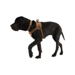 Carhartt Work Dog Harness -Hundebedarf Geschäft carhartt work dog harness 186805 0500 none