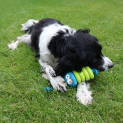 Coockoo Larry -Hundebedarf Geschäft coockoo larry 216712 0500 none