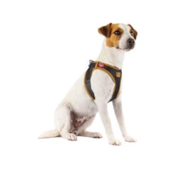 Curli Vegan Apple Leather Geschirr 9 Curli Vegan Apple Leather Geschirr -Hundebedarf Geschäft curli harnas vegan appelleer 216631 0500 none