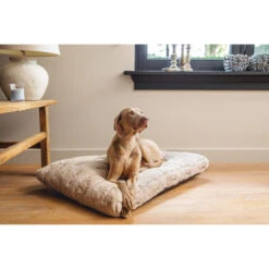 Designed By Lotte Xanti Hundekissen -Hundebedarf Geschäft designed by lotte xanti hondenkussen 188124 0500 none