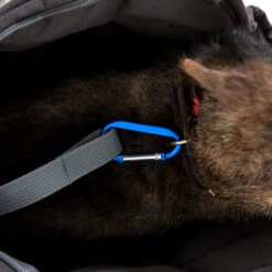 Doctor Bark Hundetragetasche -Hundebedarf Geschäft doctor bark honden draagtas 202157 0500 none