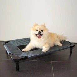 Duvo+ Hundeliege Relax -Hundebedarf Geschäft duvo hondenstretcher relax 199796 0500 none