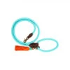 DWAM Hundeleine Türkis -Hundebedarf Geschäft dwam hondenriem turquoise 179857 0500 none