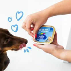 Edgard & Cooper Adult - Lachs Und Truthahn - Schale -Hundebedarf Geschäft edgard cooper adult zalm kalkoen kuipje 208616 0500 none