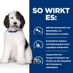 Hill's C/d Urinary Care - Prescription Diet - Canine -Hundebedarf Geschäft hills cd urinary care prescription diet canine 217893 0500 none