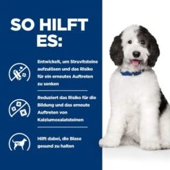 Hill's C/d Urinary Care - Prescription Diet - Canine -Hundebedarf Geschäft hills cd urinary care prescription diet canine 217894 0500 none