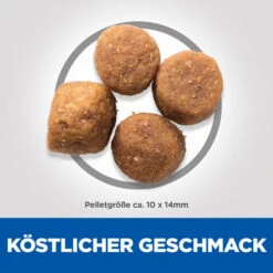 Hill's Science Plan - Adult - Thunfisch & Reis -Hundebedarf Geschäft hills science plan adult medium tuna rice 218874 0500 none