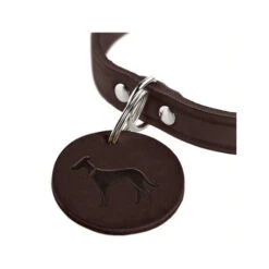Hunter Halsband Aalborg - Dunkelbraun -Hundebedarf Geschäft hunter halsband aalborg 175414 0500 none