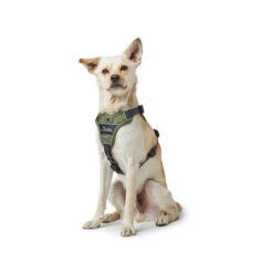 Hunter Geschirr Divo Dunkelblau/Grau -Hundebedarf Geschäft hunter harnas divo donkerblauwgrijs 166891 0500 none