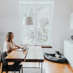 Hunter Eckkorb Livingstone - Grau -Hundebedarf Geschäft hunter hoekmand livingstone grijs 175903 0500 none