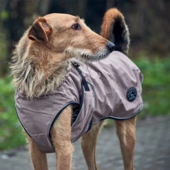Hunter Hundemantel Uppsala -Hundebedarf Geschäft hunter hondemantel uppsala taupe 165685 0500 none