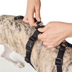 Hunter Vario Rapid Sicherheitsgeschirr - Schwarz -Hundebedarf Geschäft hunter vario rapid veiligheidsharnas zwart 169504 0500 none