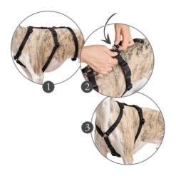 Hunter Vario Rapid Sicherheitsgeschirr - Schwarz -Hundebedarf Geschäft hunter vario rapid veiligheidsharnas zwart 169510 0500 none