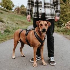 Hunter Sicherheitsgeschirr Maldon -Hundebedarf Geschäft hunter veiligheidsharnas maldon 221547 0500 none