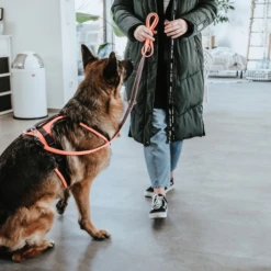 Hunter Sicherheitsgeschirr Maldon -Hundebedarf Geschäft hunter veiligheidsharnas maldon 221557 0500 none