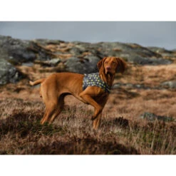 Hurtta Go Geschirr Storm Grey -Hundebedarf Geschäft hurtta go harness storm grey 201305 0500 none