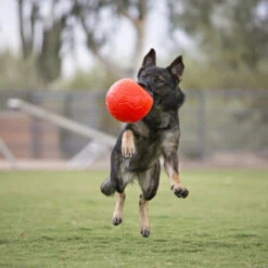 Jolly Soccer Ball -Hundebedarf Geschäft jolly soccer ball 162241 0500 none