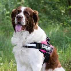 Julius K9 IDC Powergeschirr -Hundebedarf Geschäft julius k9 idc powertuig 192695 0500 none