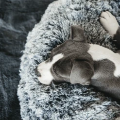 Kentucky Dogwear - Comfort Donut-Hundekorb -Hundebedarf Geschäft kentucky dogwear comfort donut hondenmand 219723 0500 none