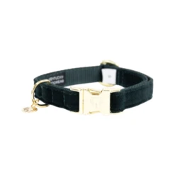 Kentucky Dogwear Corduroy Hundehalsband -Hundebedarf Geschäft kentucky dogwear corduroy hondenhalsband 219194 0500 none