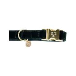 Kentucky Dogwear Corduroy Hundehalsband -Hundebedarf Geschäft kentucky dogwear corduroy hondenhalsband 219195 0500 none