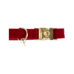 Kentucky Dogwear Corduroy Hundehalsband -Hundebedarf Geschäft kentucky dogwear corduroy hondenhalsband 219199 0500 none