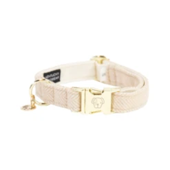 Kentucky Dogwear Hundehalsband Wool -Hundebedarf Geschäft kentucky dogwear hondenhalsband wool 219698 0500 none