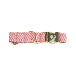Kentucky Dogwear Hundehalsband Wool -Hundebedarf Geschäft kentucky dogwear hondenhalsband wool 219709 0500 none