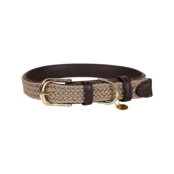 Kentucky Dogwear Nylon Hundehalsband -Hundebedarf Geschäft kentucky dogwear nylon hondenhalsband 219176 0500 none