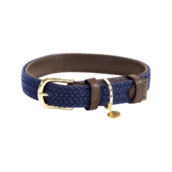 Kentucky Dogwear Nylon Hundehalsband -Hundebedarf Geschäft kentucky dogwear nylon hondenhalsband 219180 0500 none