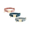 Kentucky Dogwear Velvet Hundehalsband -Hundebedarf Geschäft kentucky dogwear velvet hondenhalsband 219233 0500 none