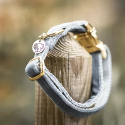 Kentucky Dogwear Velvet Hundehalsband -Hundebedarf Geschäft kentucky dogwear velvet hondenhalsband 219236 0500 none