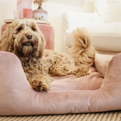 Kentucky Dogwear Velvet Hundekorb -Hundebedarf Geschäft kentucky dogwear velvet hondenmand 219658 0500 none