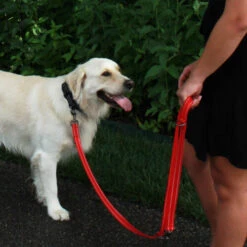 KONG Adjustable Leash -Hundebedarf Geschäft kong adjustable leash 194813 0500 none