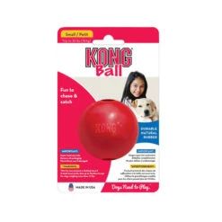 KONG Ball -Hundebedarf Geschäft kong ball 162382 0500 none