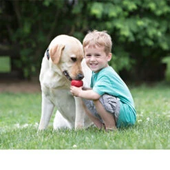 KONG Classic -Hundebedarf Geschäft kong classic 98642 0500 none