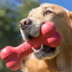 KONG Goodie Bone -Hundebedarf Geschäft kong goodie bone 194186 0500 none