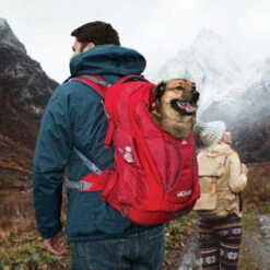 Kurgo G-Train K9 Pack -Hundebedarf Geschäft kurgo g train k9 pack 177133 0500 none