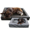Lounge Dogbed -Hundebedarf Geschäft lounge dogbed 220787 0500 none