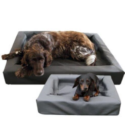 Lounge Dogbed